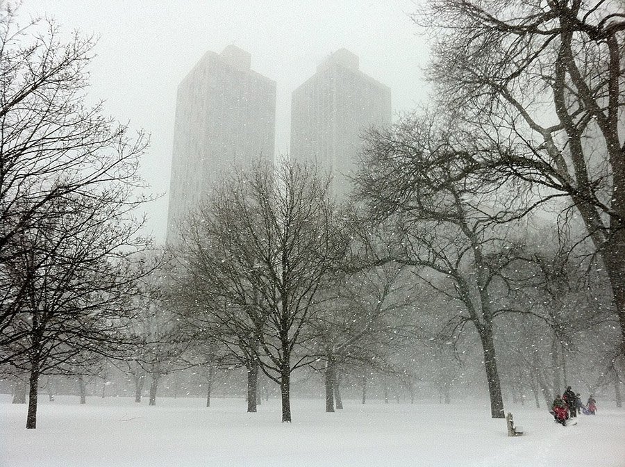 Snowy Chicago park